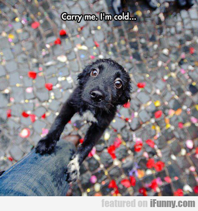 Carry Me. I'm Cold...