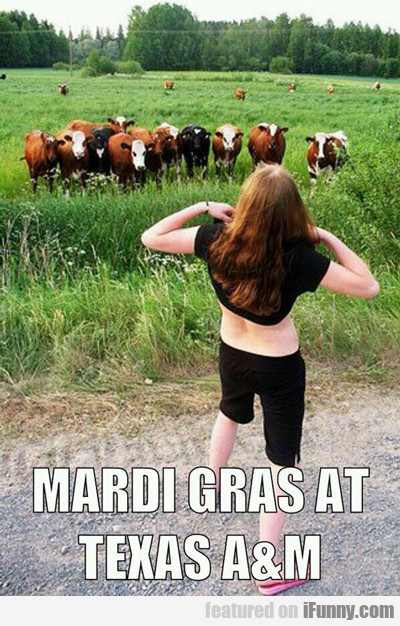 Mardi Gras At Texas A And M...