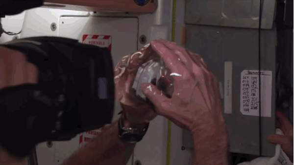 These 15 GIFs Prove Science Is More Amazing Than Fiction
